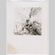 Two men binding a tree (ddr-densho-329-818)