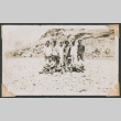 James Komoto and friends beside the Shoshone River (ddr-densho-463-49)