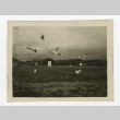 Barracks with birds at Tule Lake (ddr-csujad-44-58)