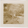 Bridge (ddr-densho-377-2258)