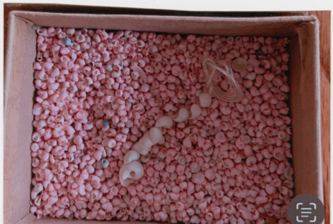 Box with small pink shells (ddr-densho-539-150)
