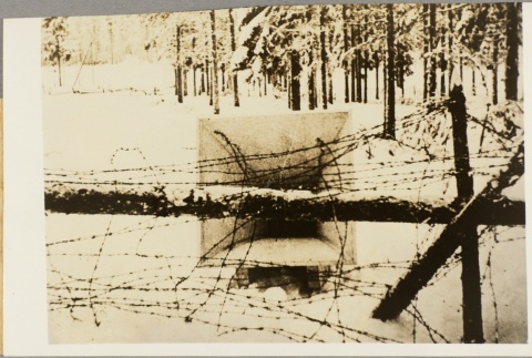 Photograph of a barbed wire fence (ddr-njpa-13-1010)