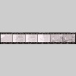 Negative film strip for Farewell to Manzanar scene stills (ddr-densho-317-78)