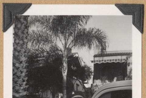 Boy saluting by a car (ddr-densho-542-207)
