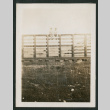 Two kids on a fence (ddr-densho-378-377)
