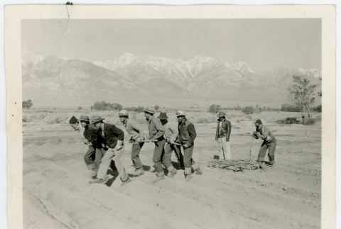 Photograph of a group of men tilling a Manzanar farm with the Sierra Nevada in the background (ddr-csujad-47-55)