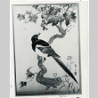 Photograph of a silk embroidered picture of a bird sitting on a branch (ddr-csujad-47-74)