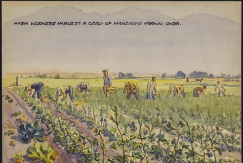 Painting of farmers harvesting okra (ddr-manz-2-69)