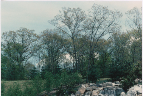 Waterfall and pond at the Schulman project. (ddr-densho-377-190)