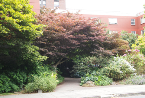 Xavier Hall courtyard, Seattle University (ddr-densho-354-2741)