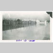 Flooded greenhouses (ddr-densho-441-38)