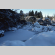 Japanese Garden pond after snow storm (ddr-densho-354-1021)