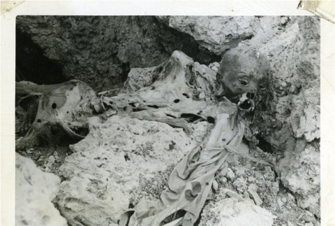 Dead Japanese soldier (ddr-densho-179-160)