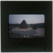 Rock garden at the AMF project (ddr-densho-377-920)