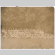 Large group photo in open field (ddr-densho-348-74)