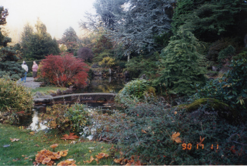 Japanese Garden (ddr-densho-354-223)