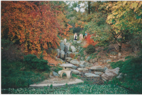 View of a Japanese garden (ddr-densho-377-280)