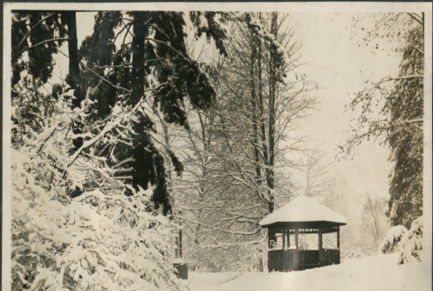 A gazebo in snow (ddr-densho-321-578)