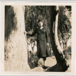 Tomoye (Nozawa) Takahashi standing in tree (ddr-densho-426-2110)