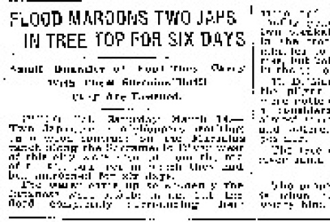 Flood Maroons Two Japs in Tree Top for Six Days. Small Quantity of Food They Carry With Them Sustains Until They are Rescued (March 15, 1914) (ddr-densho-56-244)