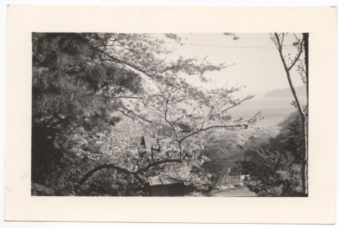 Scenic View (ddr-one-2-417)