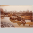 Pond construction (ddr-densho-377-2306)