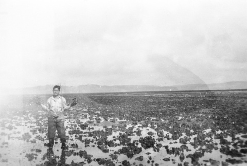 Farmer standing on an oyster bed at low tide (ddr-densho-15-103)