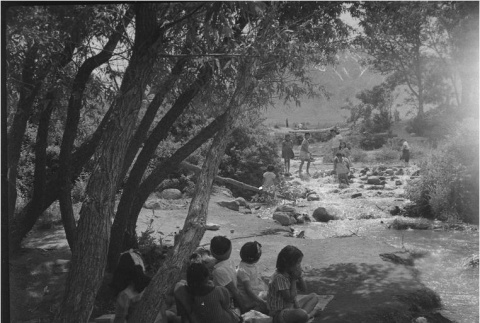 Children playing in a stream (ddr-densho-153-332)