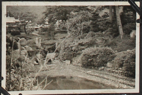 View of garden (ddr-densho-326-243)