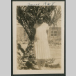 woman in front of palm (ddr-densho-378-664)