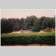 Pool (ddr-densho-377-1916)