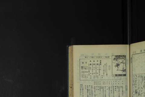 Page 199 (ddr-densho-255-4-master-bf6b1a7746)