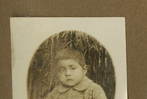 Japanese Peruvian toddler (ddr-csujad-33-18)