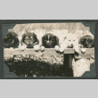 Puppies laying on deck (ddr-densho-540-131)