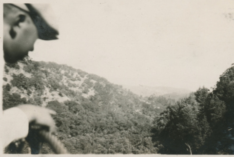 Photograph: View from Green Valley Falls Trail (ddr-densho-357-197-mezzanine-2fdcb3e3d4)