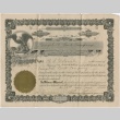 Certificate for shares of Campbell Land Company (ddr-densho-278-39)