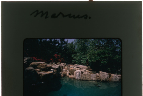 Pool and garden at the Marcus project (ddr-densho-377-458)