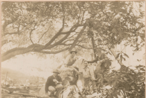 Men posing on boulders at a landscaping project (ddr-densho-377-172)