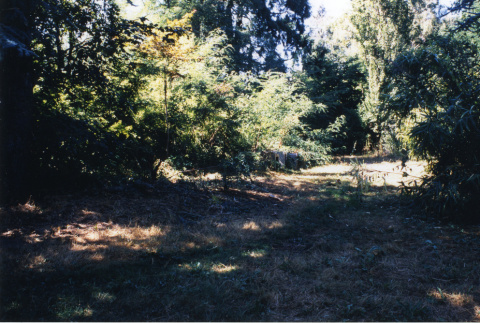 Along path to site of former house (ddr-densho-354-741)