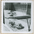 Landscaping at the Neptune Storage project (ddr-densho-377-123)