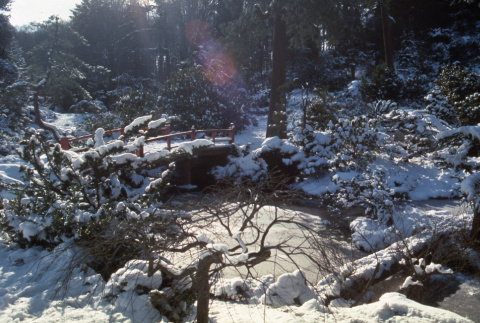 Heart Bridge after a snow storm (ddr-densho-354-1022)