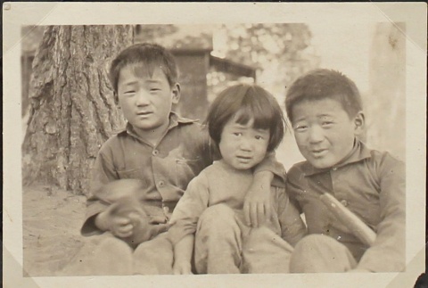 Three Nisei siblings on a farm (ddr-densho-259-75)