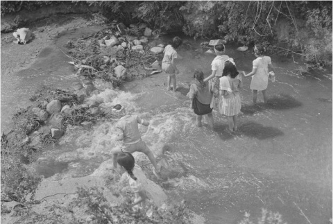 Children playing in a stream (ddr-densho-153-267)