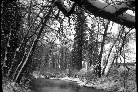 Negative (ddr-densho-426-1703-mezzanine-8b3f4d65b9)