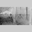 Blossoms & Thorns: A Community Uprooted (ddr-densho-1024-28)