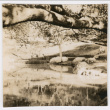 Pond (ddr-densho-377-2251)