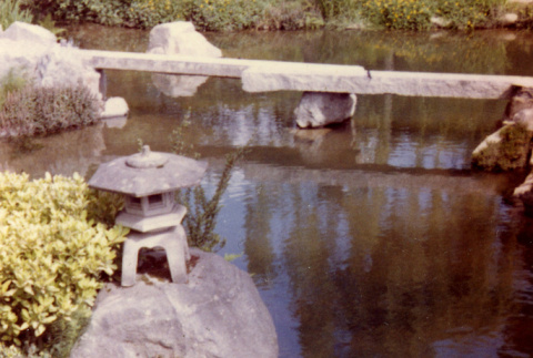 Ducklings in pond near Zig Zag Bridge (ddr-densho-354-1492)