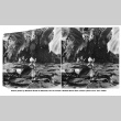 Stereo photo of pond with pond lilies (ddr-ajah-6-815)