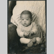 Baby in sweater (ddr-densho-523-89)