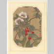 Card from Barbara Bunting to Tami (Tomoye) Takahashi (ddr-densho-422-353)